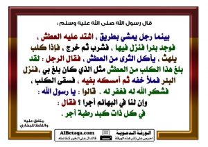 7c1bfb0d128fa54a4ca2212e0daab69c