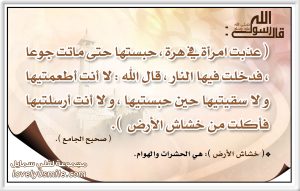 الرفق بالحيوان1