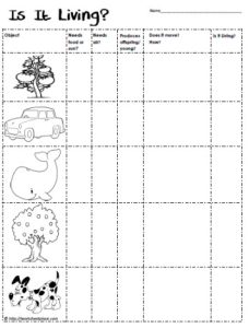 Is-It-Living-Worksheet-3