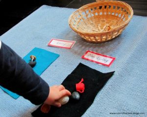 livingnonlivingmontessorizoology