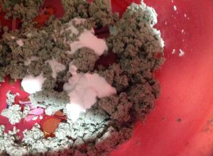 12083623_985475924857085_659480603_n