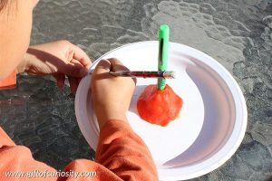 11210478_658319027634148_3958644818830176784_n